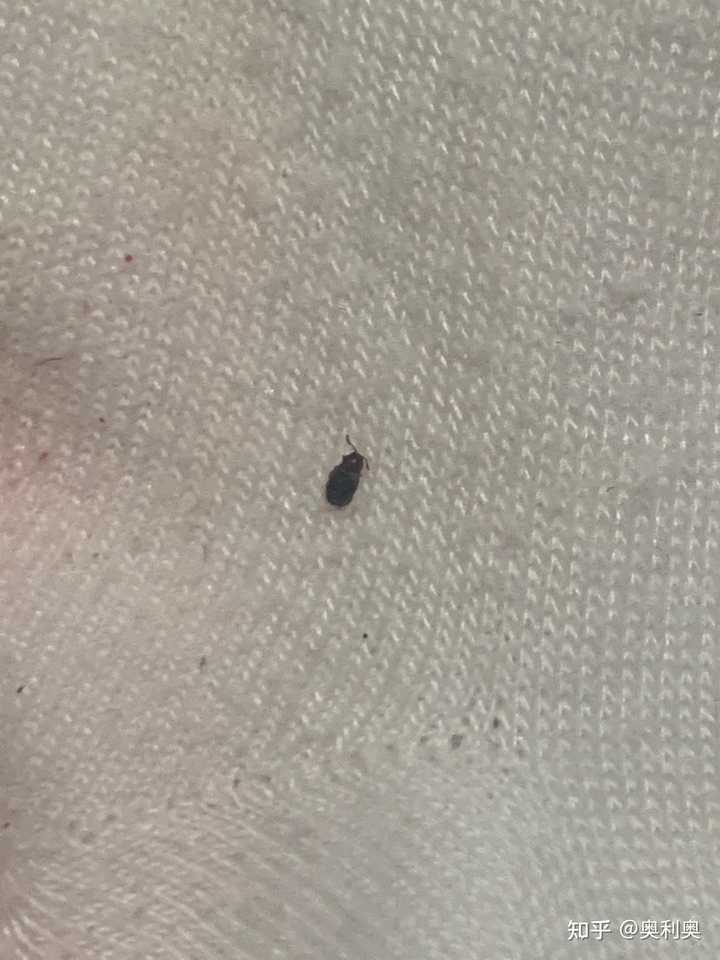 最新资讯 第54页