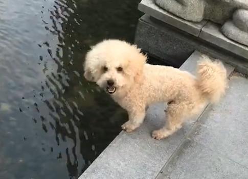 港澳新闻 第35页