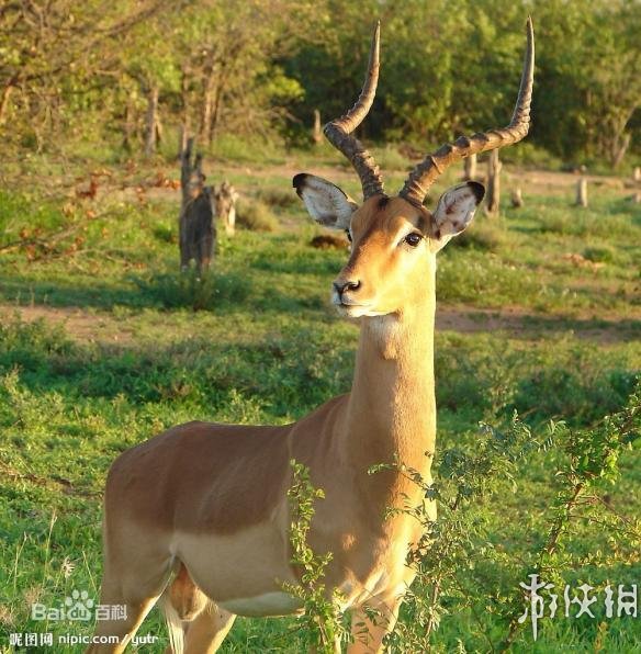 热点生活 第12页